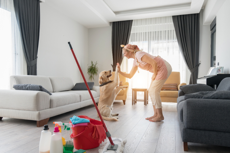 Happy dog plays with owner who does cleaning home